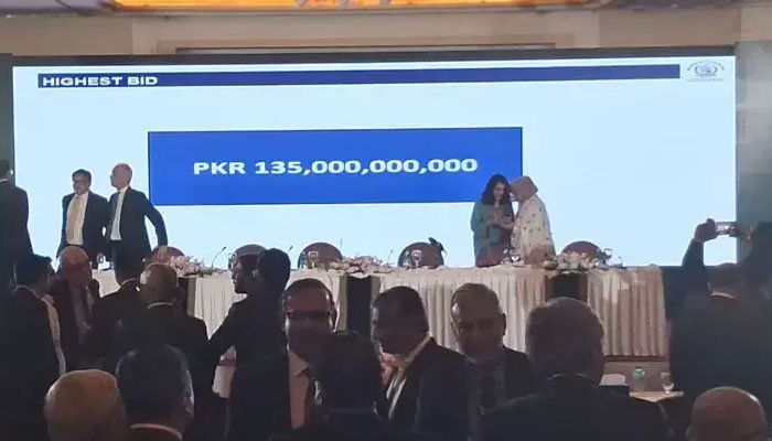 PIA privatization,Arif Habib Consortium buys PIA for Rs 135 billion