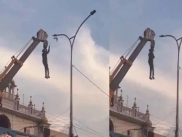 Risked his life to save an innocent bird; Video of young hero goes viral