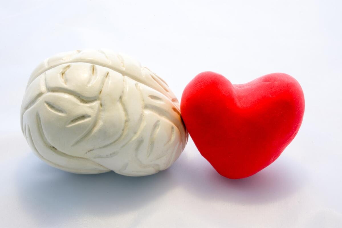 “Brain Signals May Worsen Heart Attack Damage, Mouse Study Finds”