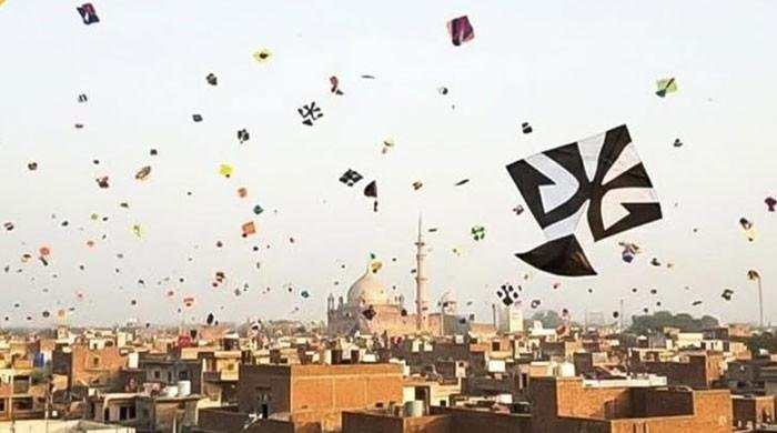 Kite Flying Threatens Lahore’s Urban Birds, Experts Warn